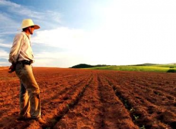 You are currently viewing PREFEITURAS DEVEM INFORMAR VALOR DA TERRA NUA ATÉ DIA 31 DE JULHO