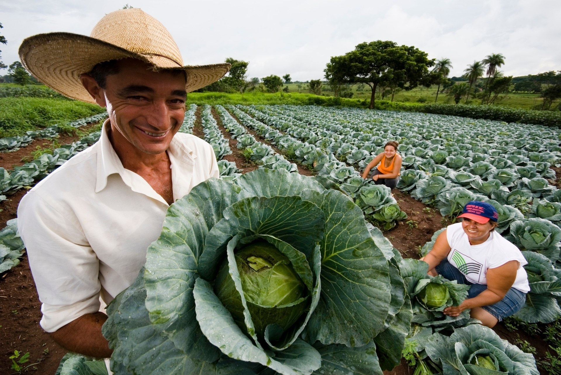 You are currently viewing SEMINÁRIO ESTADUAL DE DESENVOLVIMENTO RURAL DA FETAESC DEBATE SUSTENTABILIDADE