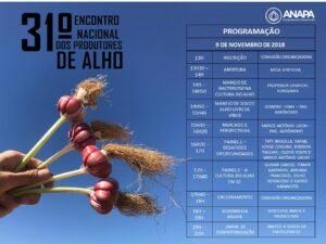 Read more about the article 31º Encontro Nacional dos Produtores de Alho discute os desafios e as oportunidades da cultura no país