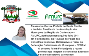 Read more about the article Prefeita Alessandra Garcia participa da Reunião do Conselho Político da FECAM