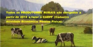 Read more about the article CAEPF PRODUTOR RURAL