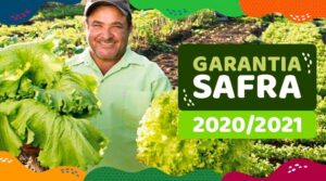 Read more about the article Pagamento do Garantia-Safra para agricultores familiares começa em dezembro