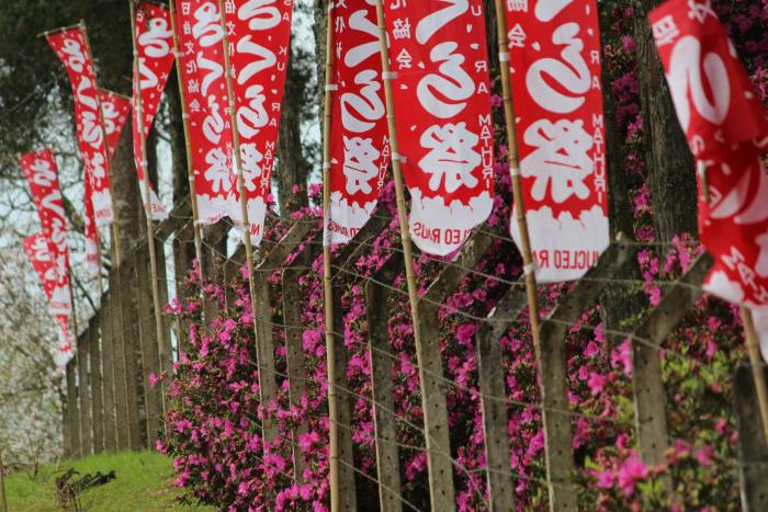 You are currently viewing Sakura Matsuri 2013