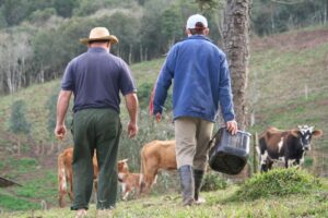 Read more about the article Planalto busca apoio para produtores de feijão.