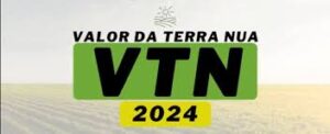 Read more about the article VTN 2024