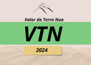 Read more about the article VTN 2024