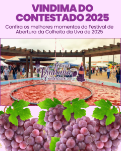 Read more about the article Vindima do Contestado 2025