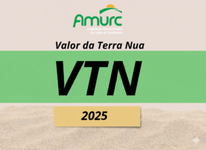 Read more about the article VTN 2025